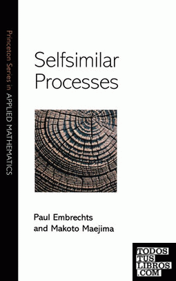 Selfsimilar Processes