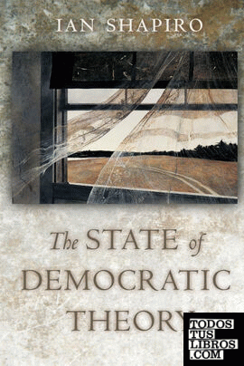 The State of Democratic Theory