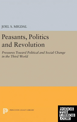 Peasants, Politics and Revolution