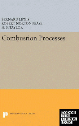 Combustion Processes
