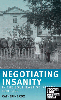 Negotiating Insanity in the Southeast of Ireland, 1820-1900
