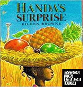 Handa's surprise (Big books)
