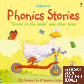 PHONICS STORIES GOOSE ON THE LOOSE