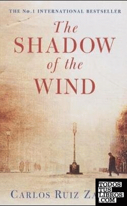 Shadow of the wind