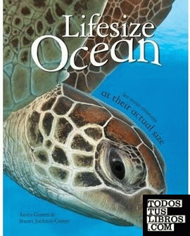 Lifesize Ocean
