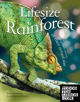 Lifesize Rainforest