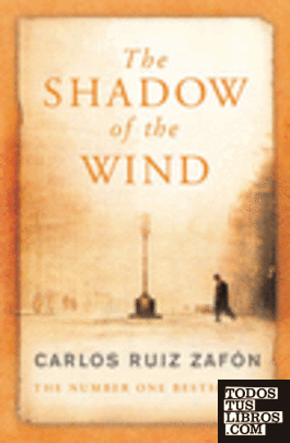 Shadow of the wind