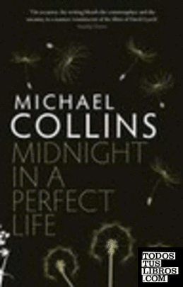 MIDNIGHT IN A PERFECT LIFE