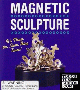 Magnetic sculpture kit