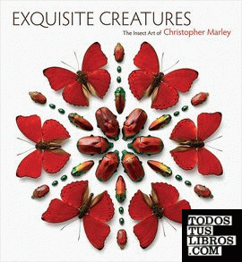 EXQUISITE CREATURES - THE INSECT ART OF CHRISTOPHER MARLEY