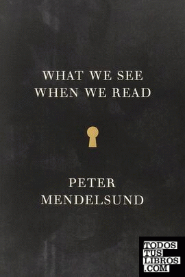 What we See when we Read