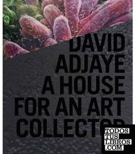 ADJAYE: A HOUSE FOR AN ART COLLECTOR. DAVID ADJAYE