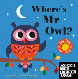 Where's Mr Owl?   board book