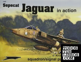 SEPECAT JAGUAR IN ACTION - AIRCRAFT NO. 197