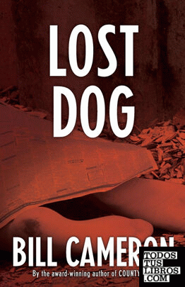 Lost Dog