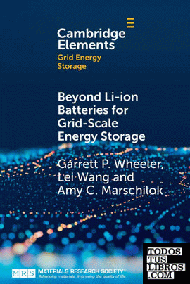 Beyond Li-ion Batteries for Grid-Scale Energy Storage