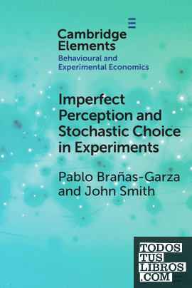 Imperfect Perception and Stochastic Choice in Experiments
