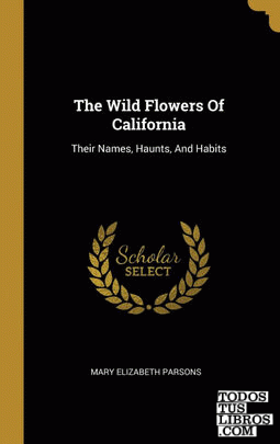 The Wild Flowers Of California