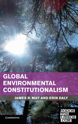 Global Environmental Constitutionalism