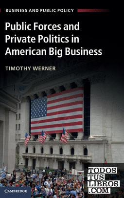PUBLIC FORCES AND PRIVATE POLITICS IN AMERICAN BIG BUSINESSWERNER