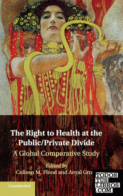 The Right to Health at the Public/Private             Divide