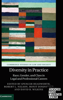 Diversity in Practice