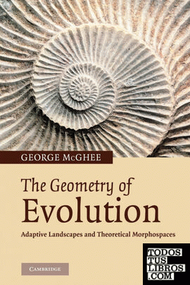 The Geometry of Evolution