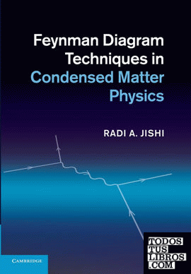 Feynman Diagram Techniques in Condensed Matter Physics