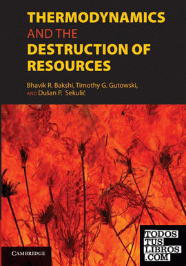 Thermodynamics and the Destruction of             Resources