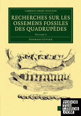 Recherches sur les ossemens fossiles des quadrupèdes - Volume             3