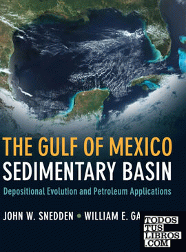 The Gulf of Mexico Sedimentary Basin