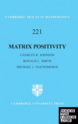 MATRIX POSITIVITY