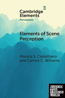 Elements of Scene Perception