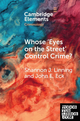 Whose Eyes on the Street Control Crime?