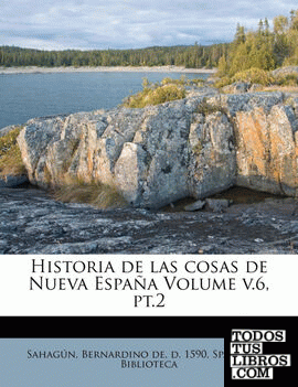 Historia de las cosas de Nueva España Volume v.6, pt.2