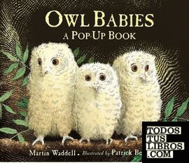 Owl Babies, A Pop-Up Book