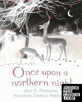 ONCE UPON A NORTHERN LIGHT
