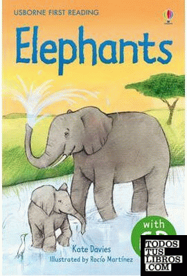 Elephants + cd el 600-900