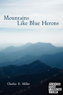 Mountains Like Blue Herons