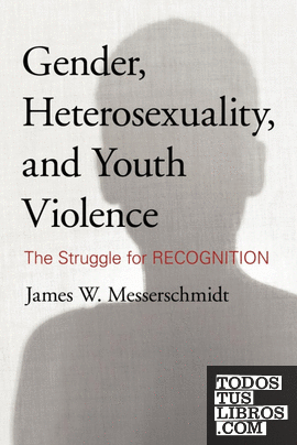 Gender, Heterosexuality, and Youth Violence