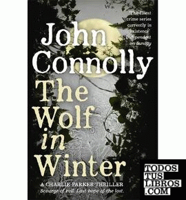 The wolf in winter