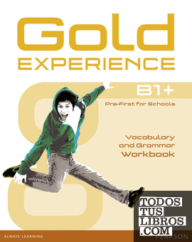 GOLD EXPERIENCE B1+ WORKBOOK WITHOUT KEY