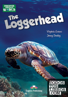 THE LOGGERHEAD