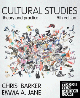 CULTURAL STUDIES: THEORY AND PRACTICE