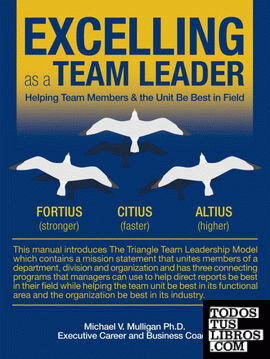 Excelling as a Team Leader