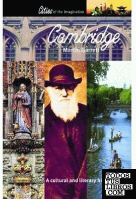 CAMBRIDGE A CULTURAL AND LITERARY HISTORY
