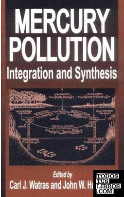 MERCURY POLLUTION INTEGRATION AND SYNTHESIS