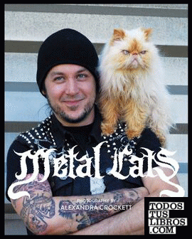 Metal cats
