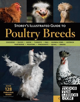 Storey's illustrated guide to poultry breeds