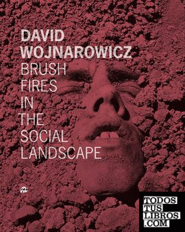 David Wojnarowicz - Brush fires in the social landscape